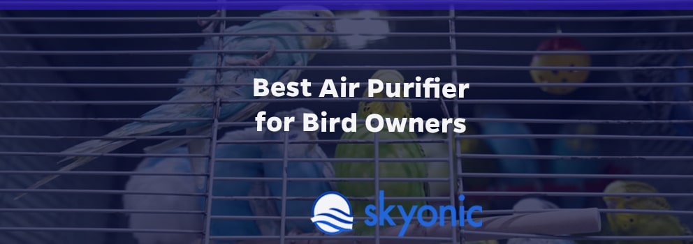 best air purifier for birds owners